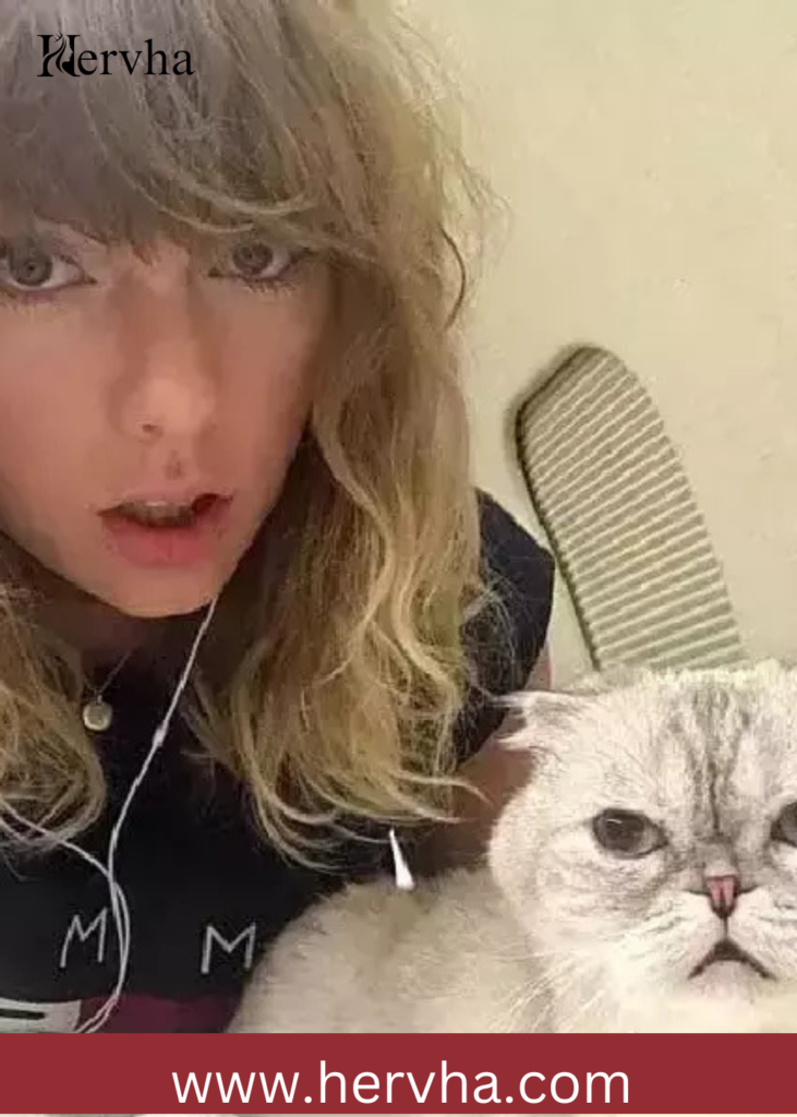 Swift’s Another Catfie