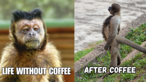 Before and After Coffee Funny Meme